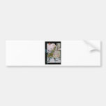 Birds from A to L Bumper Sticker