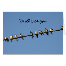 Birds Happy Birthday Card