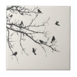 Birds in Black and White Ceramic Tiles