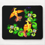 Birds In Colour