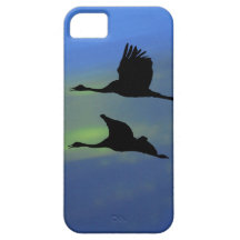 BIRDS iPhone 5 COVERS