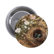 Birds Nest and Dogroses by Hill,Victorian Fine Art Pinback Buttons