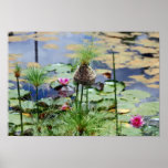 Birds nest at the lake with lilies posters