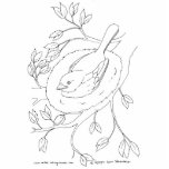 Bird's Nest Line Drawing photo sculptures