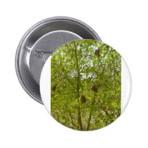 BIRDS NESTS  IN TREES PINBACK BUTTON