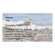 Birds Oceans Beaches Business Card