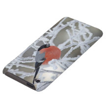 Birds Of A Feather iPod Touch Covers