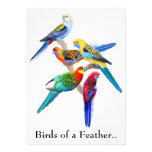 Birds of a Feather Parrots Party Invitation