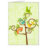 Birds of a Tree
