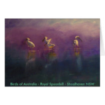 Birds of Australia - Royal Spoonbill ... Greeting Cards
