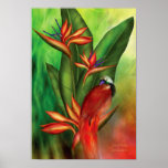 Birds Of Paradise Art Poster/Print
