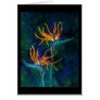 Birds of Paradise Greeting Card