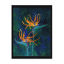 Birds of Paradise Postcard
