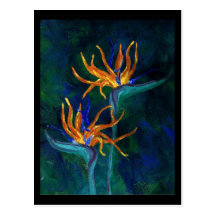 Birds of Paradise Postcard