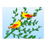 Birds of Peace Postcard