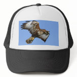 Birds of Prey Hats