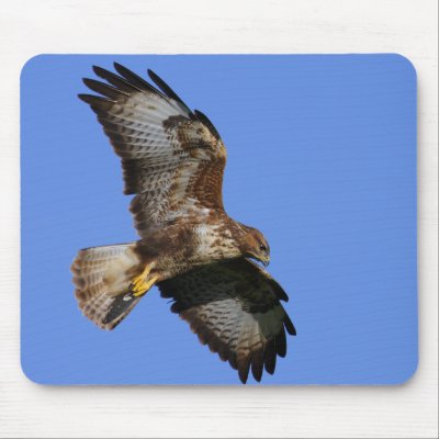 Birds of Prey Mousemats Mouse Pad by Welshpixels