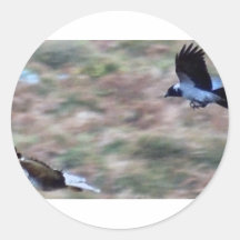 birds of prey round sticker