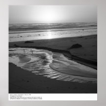 Birds on a Beach, Santa Barbara, 1966 Print