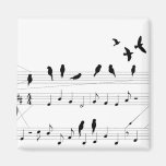 Birds on a Score magnet