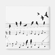 Birds on a Score magnet