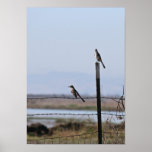 "Birds on a Wire", Portrait Crop Posters