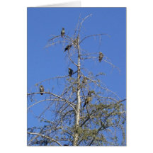 Birds on Bare Tree Card