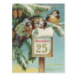 Birds on Decemeber 25th Postcards