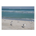 birds on ocean beach greeting cards