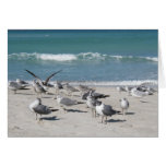 birds on ocean beach cards
