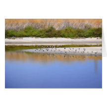 Birds On The River Bank Greeting Card