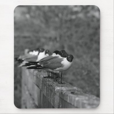 Birds on the wall mousepads by Dynomoose