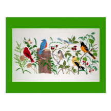 Birds Post Card