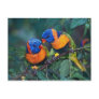 Birds Postcard