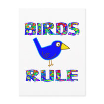BIRDS RULE POST CARD