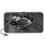 Birds Speaker