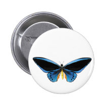 Birdwing Butterfly buttons