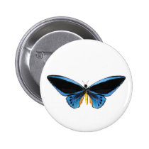 Birdwing Butterfly buttons