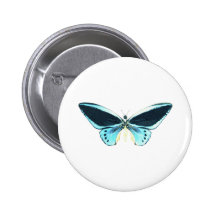 Birdwing Butterfly Pinback Buttons