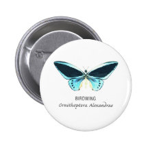 Birdwing Butterfly with Name Pinback Buttons