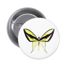 Birdwing X Butterfly Pin