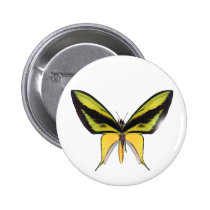 BirdWingX Butterfly buttons