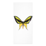 BirdWingX Butterfly Full Color Rack Card