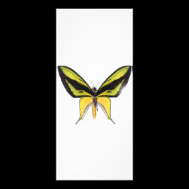 BirdWingX Butterfly rack cards