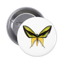 BirdWingX Butterfly buttons