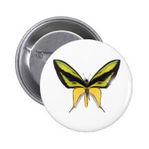 BirdWingX Butterfly Pinback Button