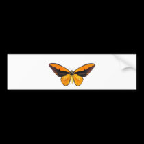 BirdWingY Butterfly bumper stickers