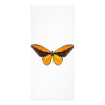 BirdWingY Butterfly Custom Rack Cards