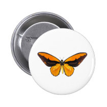 BirdWingY Butterfly buttons