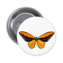 BirdWingY Butterfly buttons